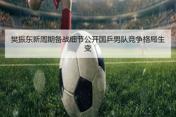 樊振东新周期备战细节公开国乒男队竞争格局生变